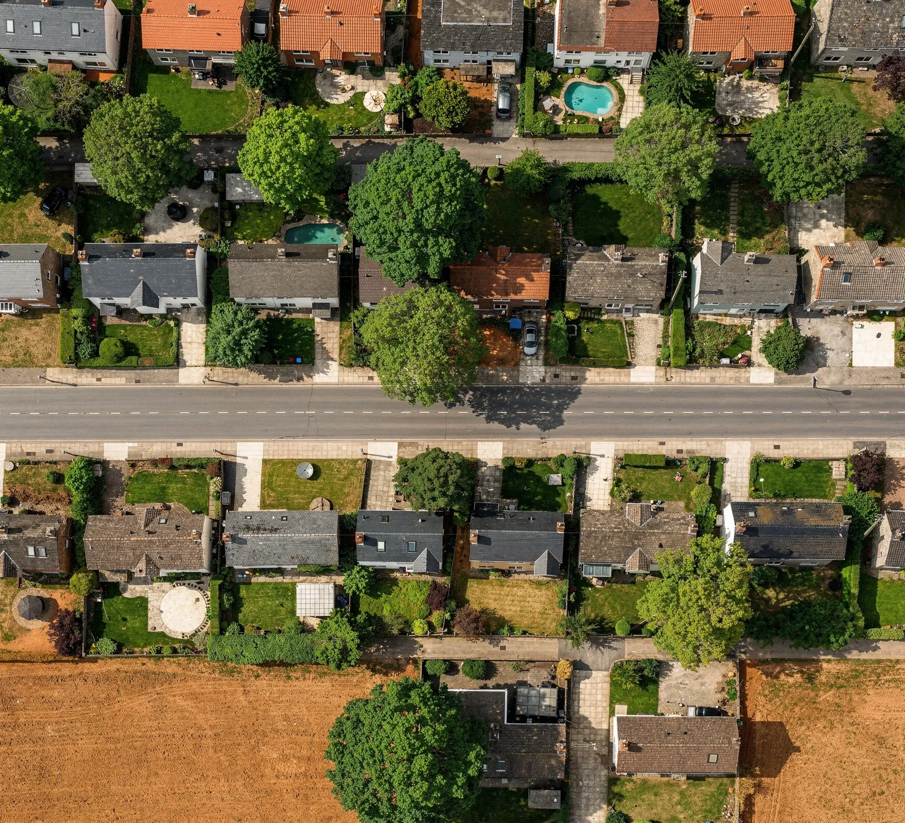 Suburban streets on clay with mature trees